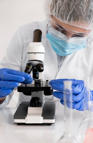 Siddhi Green Excellence Pvt Ltd