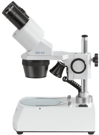 Siddhi Green Excellence Pvt Ltd