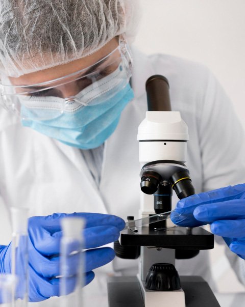 Siddhi Green Excellence Pvt Ltd