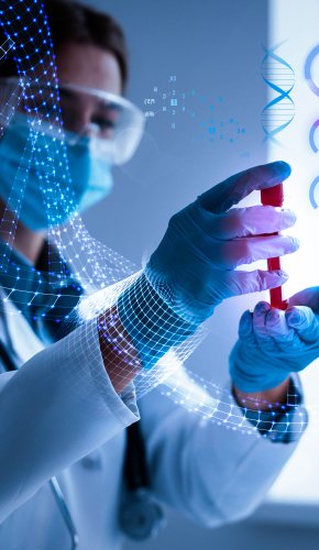 Siddhi Green Excellence Pvt Ltd