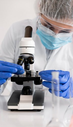 Siddhi Green Excellence Pvt Ltd