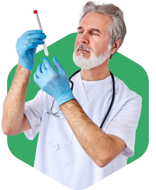 Siddhi Green Excellence Pvt Ltd