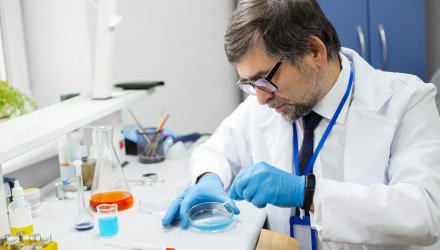 Siddhi Green Excellence Pvt Ltd