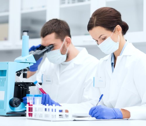 Siddhi Green Excellence Pvt Ltd