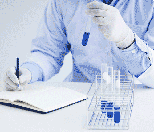 Siddhi Green Excellence Pvt Ltd