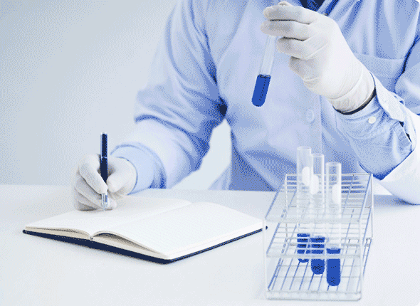 Siddhi Green Excellence Pvt Ltd