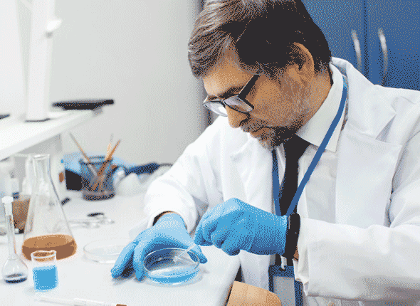 Siddhi Green Excellence Pvt Ltd