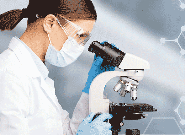 Siddhi Green Excellence Pvt Ltd