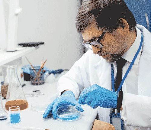 Siddhi Green Excellence Pvt Ltd