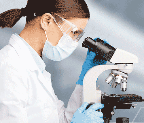 Siddhi Green Excellence Pvt Ltd