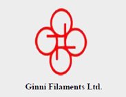 ginni-logo