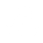 ICON (11)