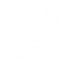 ICON (Custom)