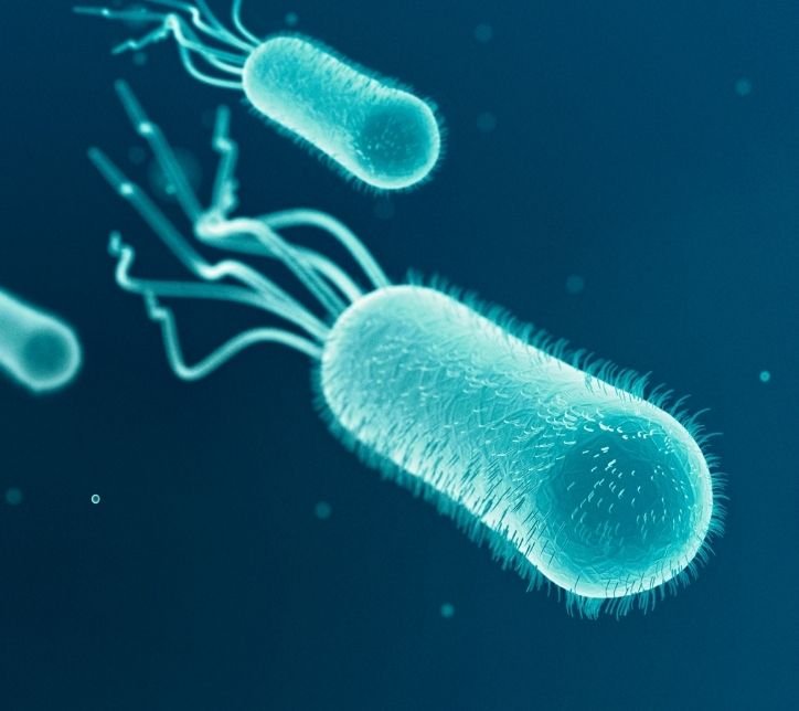 Biological Quality of water