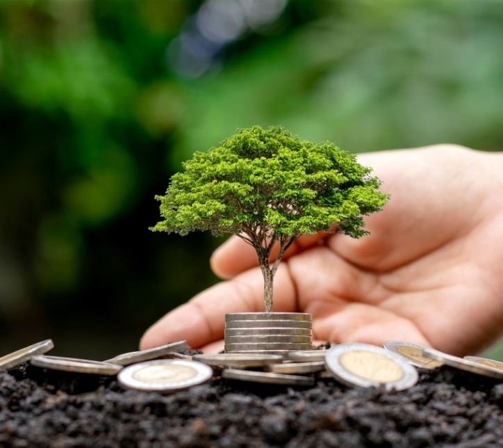 Sustainability